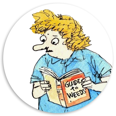 Illustration of a person with curly hair reading a book titled 
