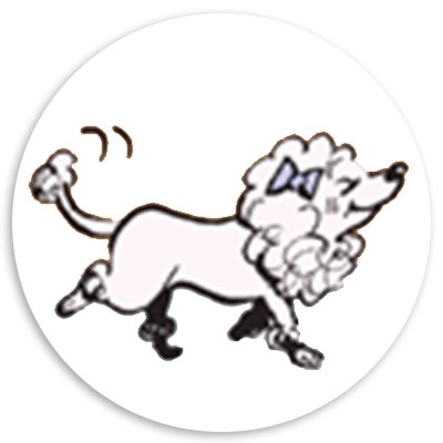 Illustration of a playful poodle wearing a blue bow, happily walking with a wagging tail. The design features a cartoon style, emphasizing the dog's fluffy coat and cheerful demeanor.