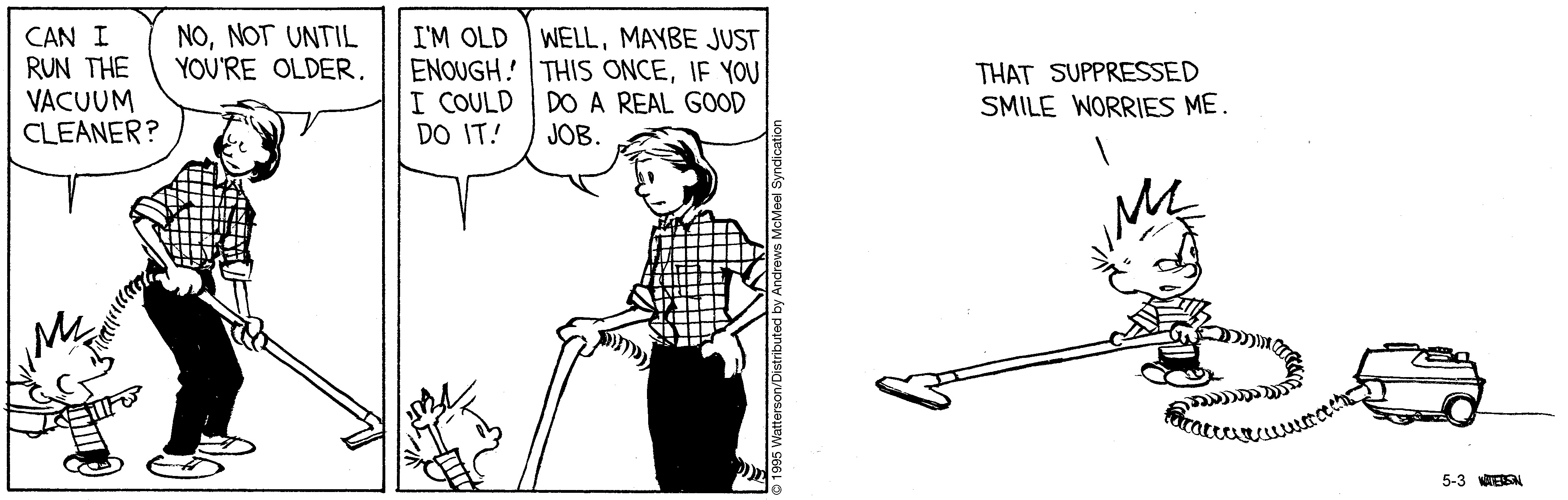 A humorous comic strip featuring a child asking to use a vacuum cleaner, while a parent expresses concern about their age and capability. The child insists they are old enough, leading to a playful exchange about chores and responsibility. The final panel shows the child vacuuming with a worried expression, hinting at mischievous intentions.