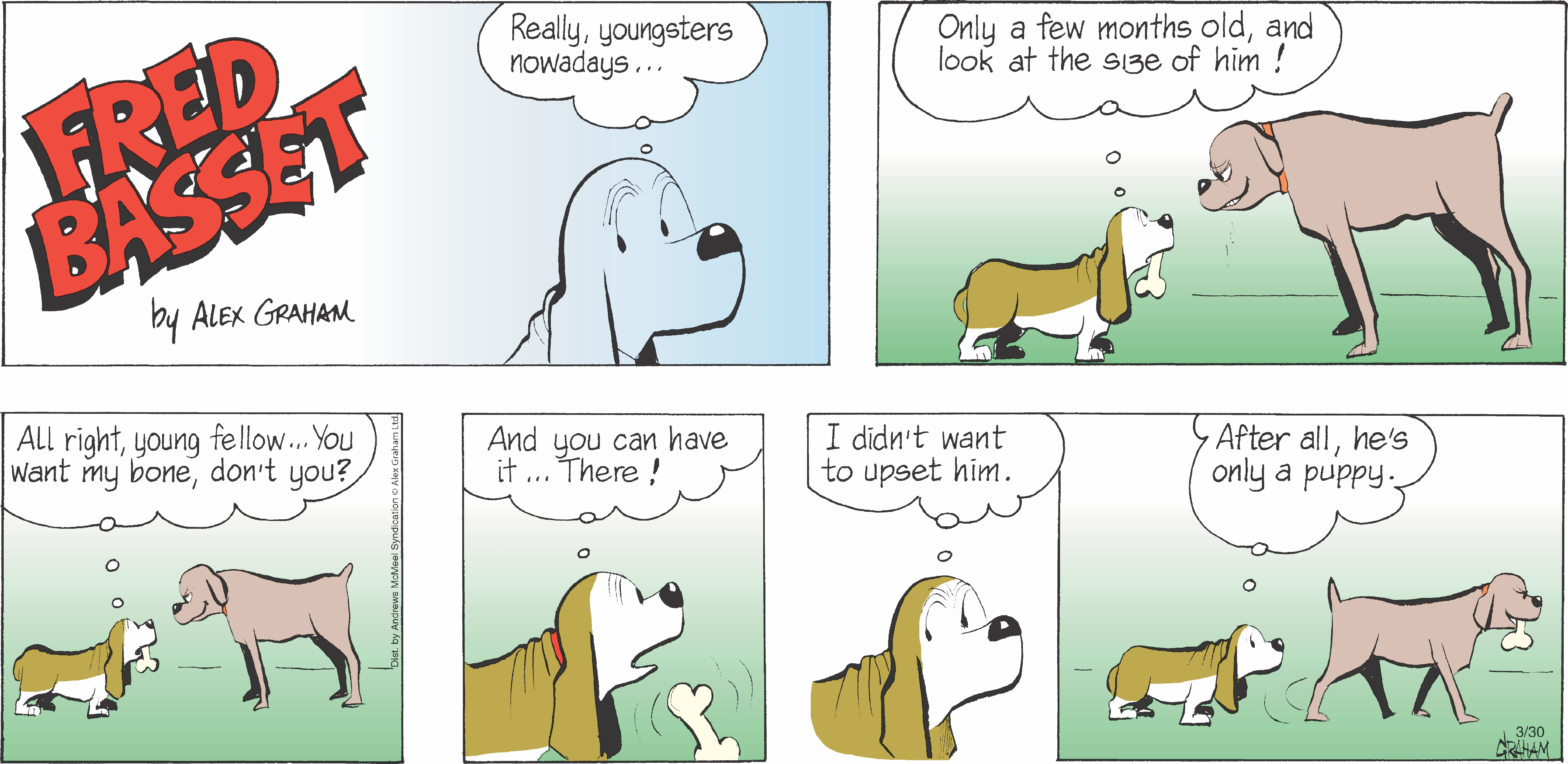 Comic strip featuring Fred Basset, a basset hound, humorously reflecting on the size difference between himself and a larger puppy. The dialogue highlights the playful nature of dogs and their interactions, showcasing themes of age and companionship.