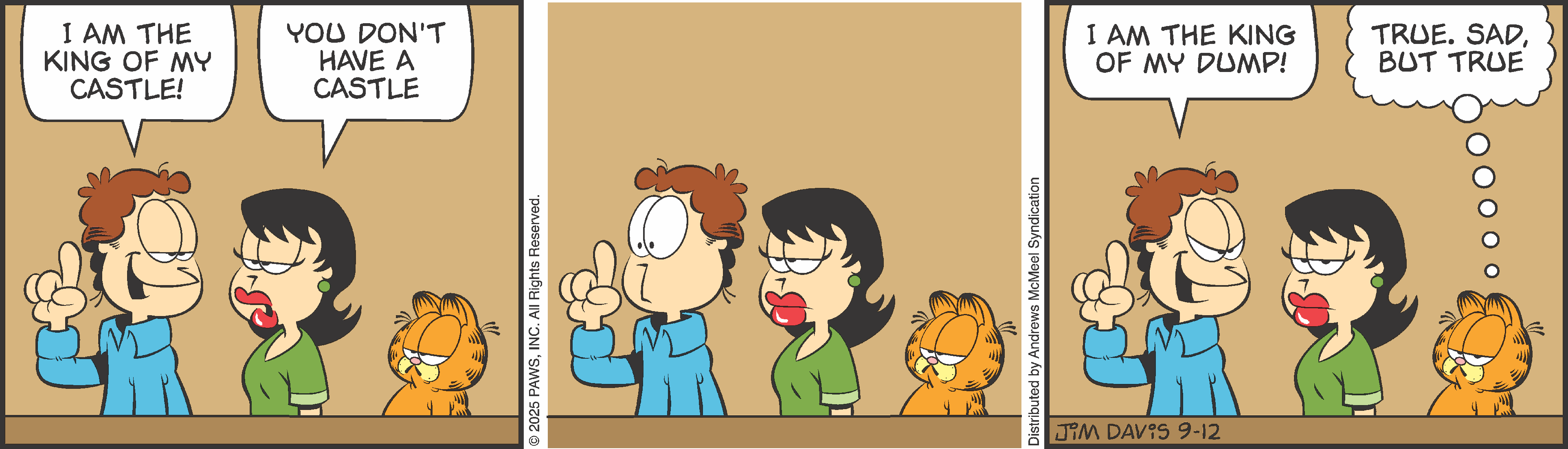 Cartoon strip featuring a humorous exchange between a boy, a woman, and the cat Garfield. The boy claims to be the 