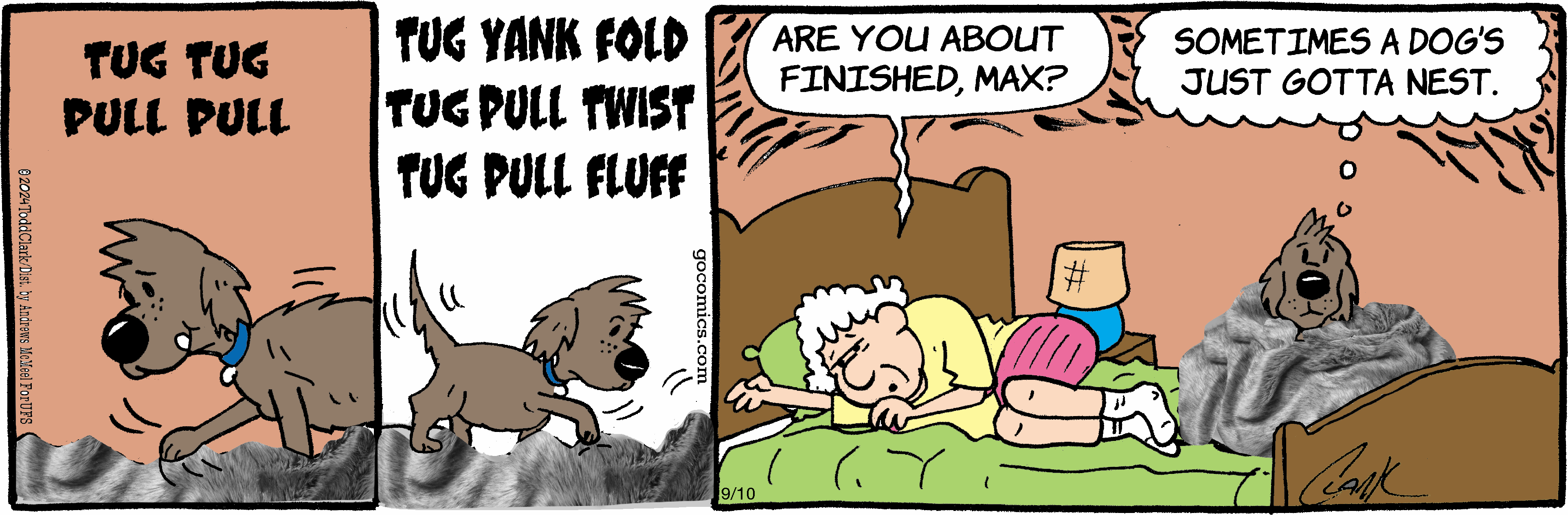 A cartoon depicting a playful dog tugging and pulling on a blanket, with an elderly woman lying in bed, appearing amused and slightly annoyed. The dog thinks about nesting as it creates a cozy spot with the blanket. The scene captures the humorous interaction between pets and their owners.