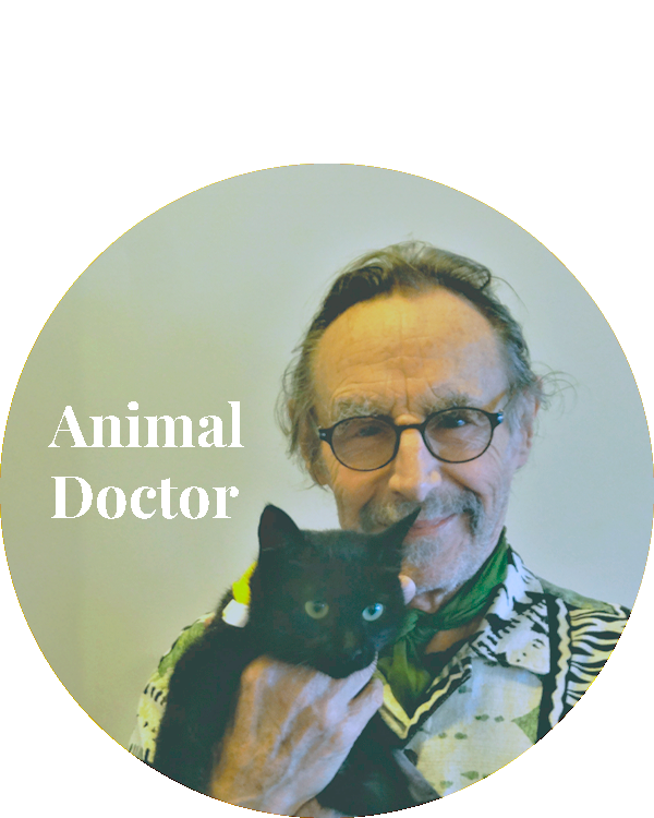 Animal Doctor, The