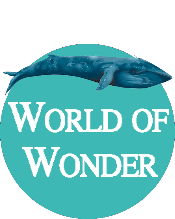 World of Wonder