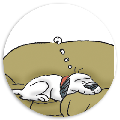 Cartoon illustration of a white dog sleeping peacefully on a brown couch, with dream bubbles above its head.